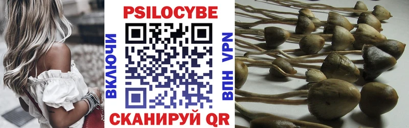 цены   Жердевка  Псилоцибиновые грибы мицелий 